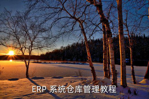 ERP 系統(tǒng)倉(cāng)庫(kù)管理教程