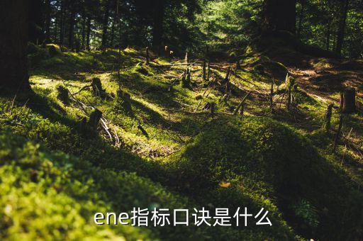  ene指標口訣是什么