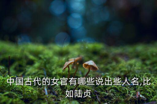 尚乘中國怎么樣,開復(fù)電視臺新增三個職能部門包括四司三公