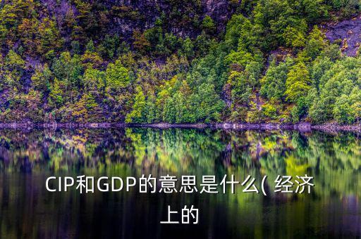 CIP和GDP的意思是什么( 經(jīng)濟(jì)上的