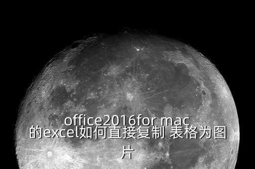 office2016for mac的excel如何直接復(fù)制 表格為圖片