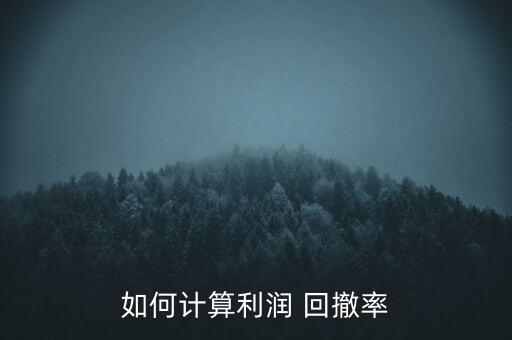 如何計算利潤 回撤率