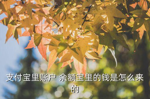 余額寶的錢是怎么來(lái)的,理財(cái)不是消費(fèi)金融工具