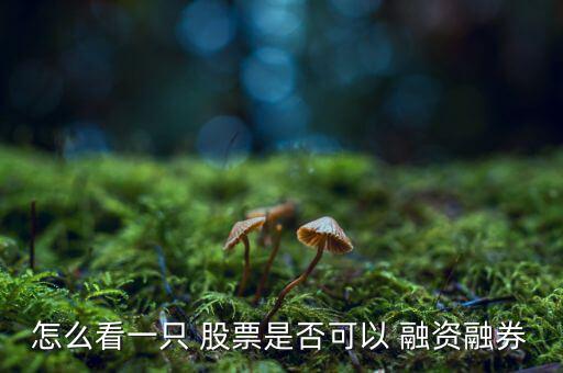 怎么看一只 股票是否可以 融資融券