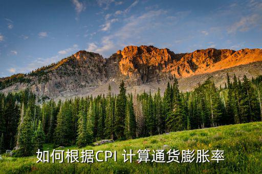 如何根據(jù)CPI 計算通貨膨脹率