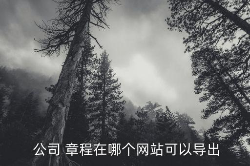  公司 章程在哪個網(wǎng)站可以導(dǎo)出