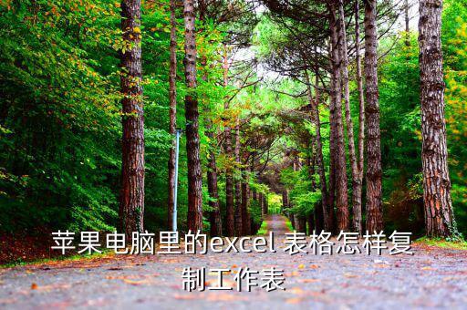 蘋(píng)果電腦里的excel 表格怎樣復(fù)制工作表