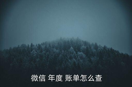  微信 年度 賬單怎么查