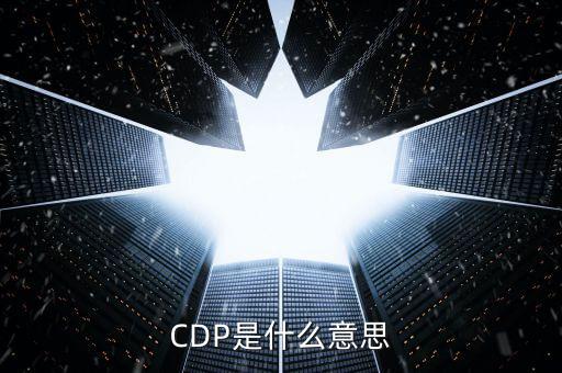 CDP是什么意思