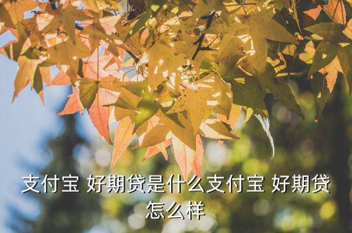 支付寶 好期貸是什么支付寶 好期貸怎么樣