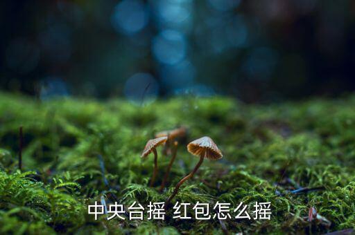  中央臺(tái)搖 紅包怎么搖