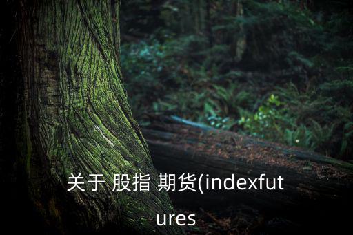 關于 股指 期貨(indexfutures