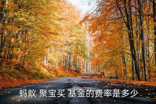 螞蟻聚寶基金怎么樣,螞蟻聚寶基金定投注意事項(xiàng)一文看懂