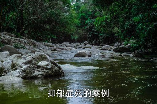 抑郁癥死的案例