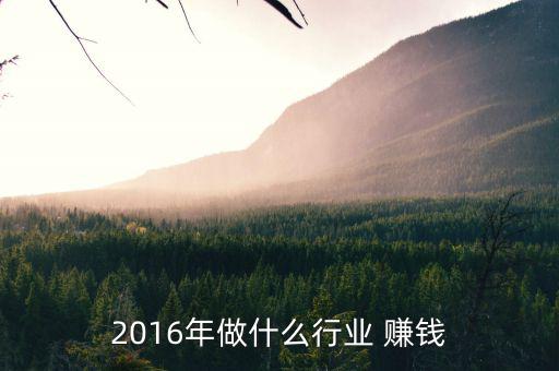 2016年了我們該怎么賺錢,互聯網如何發(fā)展?