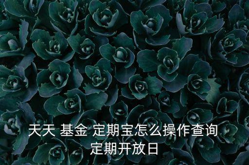  天天 基金 定期寶怎么操作查詢 定期開(kāi)放日