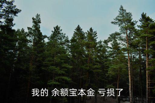 余額寶虧損了怎么辦,理財在線｜羅清全】余額寶是什么鬼?