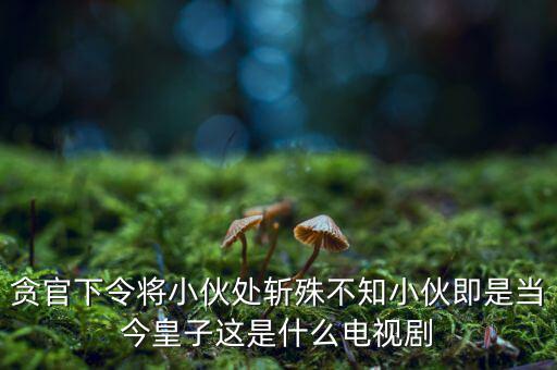 天涌影視怎么樣,《快樂(lè)縣令》第二部由搜狐視頻獨(dú)家播出