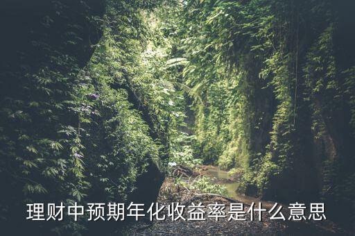 理財(cái)中預(yù)期年化收益率是什么意思