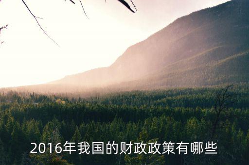 2016年我國的財(cái)政政策有哪些