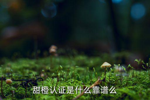 甜橙金融公司是什么，便捷的網(wǎng)貸理財(cái)企業(yè)是什么