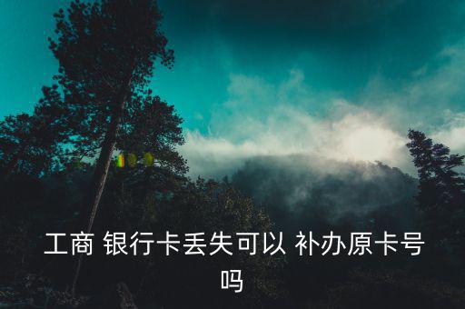  工商 銀行卡丟失可以 補(bǔ)辦原卡號嗎