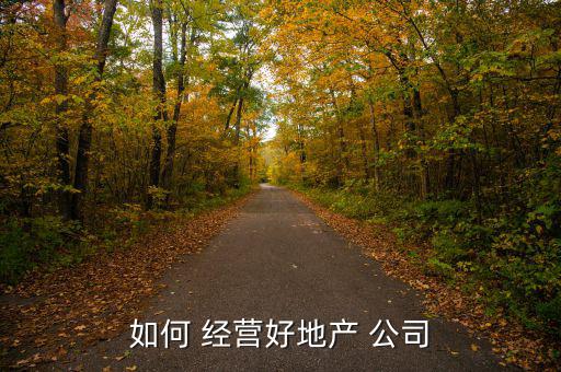 如何 經(jīng)營好地產(chǎn) 公司