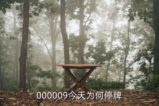 000009今天為何停牌