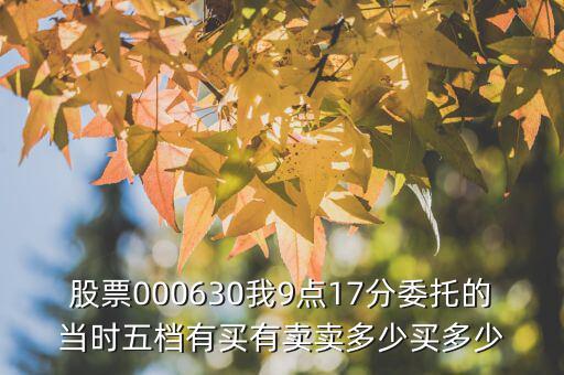 股票000630我9點(diǎn)17分委托的當(dāng)時(shí)五檔有買(mǎi)有賣賣多少買(mǎi)多少