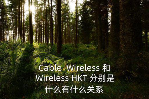 Cable  Wireless 和 Wireless HKT 分別是什么有什么關(guān)系