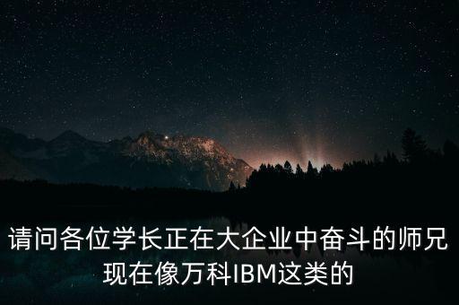 請問各位學(xué)長正在大企業(yè)中奮斗的師兄現(xiàn)在像萬科IBM這類的