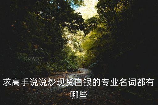 求高手說說炒現(xiàn)貨白銀的專業(yè)名詞都有哪些