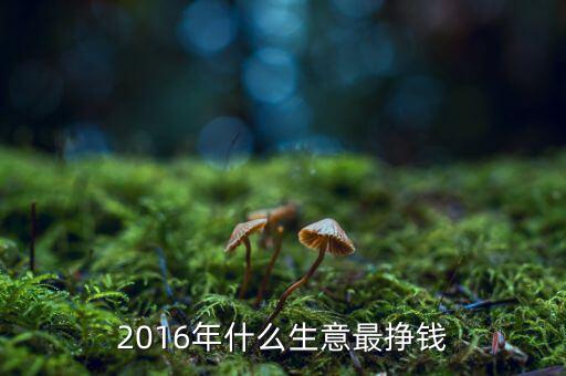 2016怎么賺錢,2020年賺錢秘訣