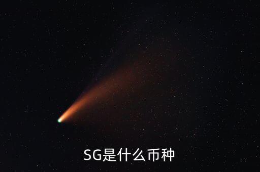 SG是什么幣種