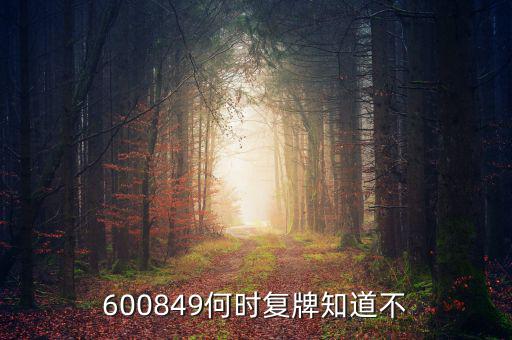 儀電b股什么時候復牌，600849何時復牌知道不