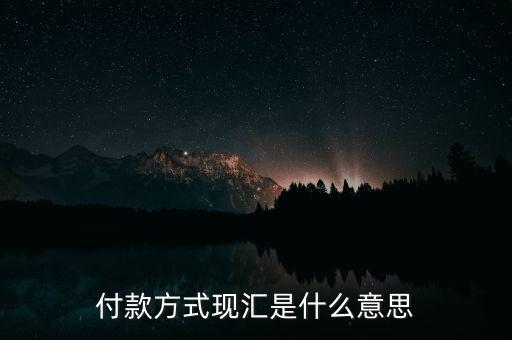 現匯金額是什么意思，招行自動還款中現匯是什么意思