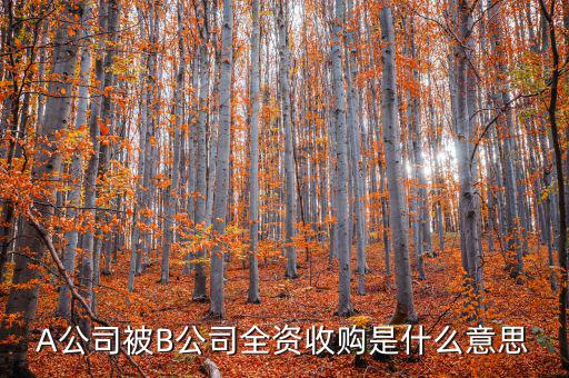 A公司被B公司全資收購是什么意思