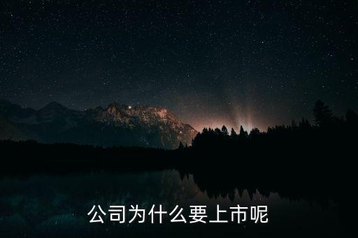 公司為什么上市，公司為什么要上市呢