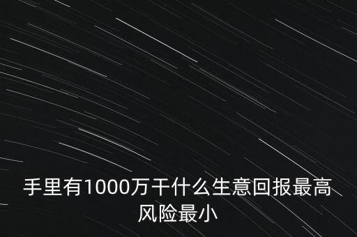 1000萬(wàn)投資什么生意，手里有1000萬(wàn)干什么生意回報(bào)最高風(fēng)險(xiǎn)最小