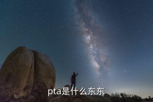 pta行業(yè)是什么，pta是什么東東