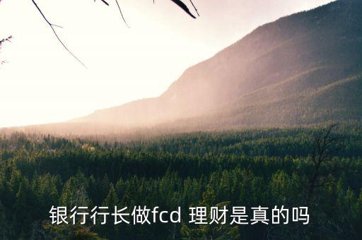 銀行行長做fcd 理財(cái)是真的嗎