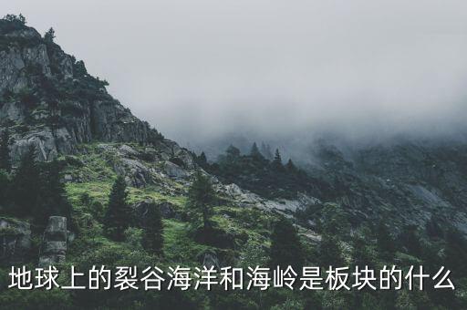 誠(chéng)益通屬于什么板塊，地球上的裂谷海洋和海嶺是板塊的什么