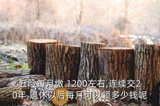 五險每月繳 1200左右,連續(xù)交20年,退休以后每月可以領(lǐng)多少錢呢