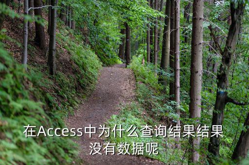 832494為什么沒有數(shù)據(jù)，在Access中為什么查詢結(jié)果結(jié)果沒有數(shù)據(jù)呢