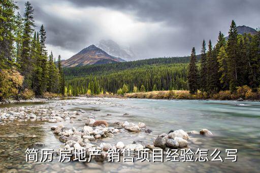  簡歷 房地產(chǎn) 銷售項目經(jīng)驗怎么寫