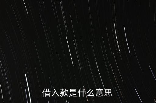 借入款是什么意思