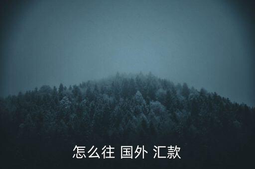 孟加拉怎么往國(guó)外匯款,匯款(匯款)分三種方式