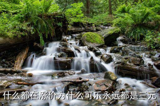 可樂為什么不漲價，什么都在漲價為什么可樂永遠(yuǎn)都是三元