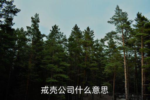 殼公司是什么意思，戒殼公司什么意思