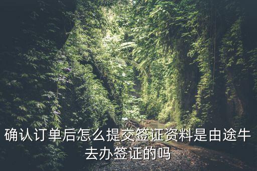 為什么途牛金服資料提交不了，申請(qǐng)途牛額度的資料怎么填寫(xiě)我填的都是真的也很全啊但是一提